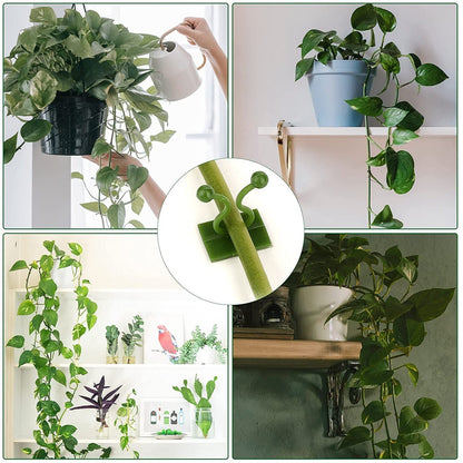 Close-up of a wall plant clip securing a vine, showcasing the twist-lock design.