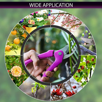A gardener's hand using stainless steel garden scissors to trim a plant.